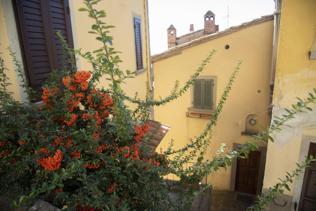 Cortona streets